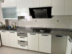 Blk 203A Punggol Field (Punggol), HDB 5 Rooms #636281141